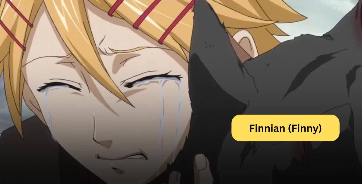 finnian finny finnian finny